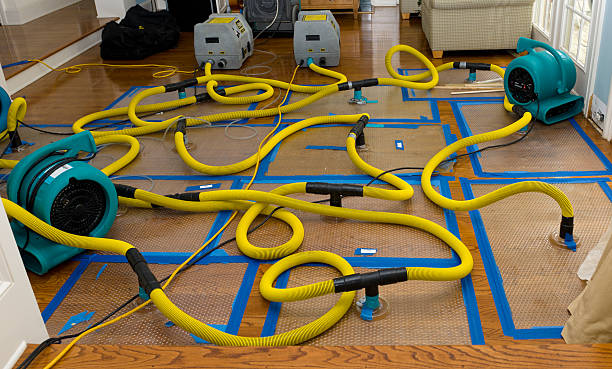 Professional Storm Water Damage Restoration technician working in California, MO
